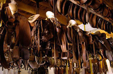 Mexico-Sierra Occidental-Mexican Equestrian and Horse Clinic